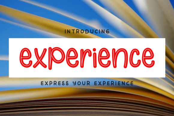 Experience: A Beautiful and Elegant Font for Modern Design